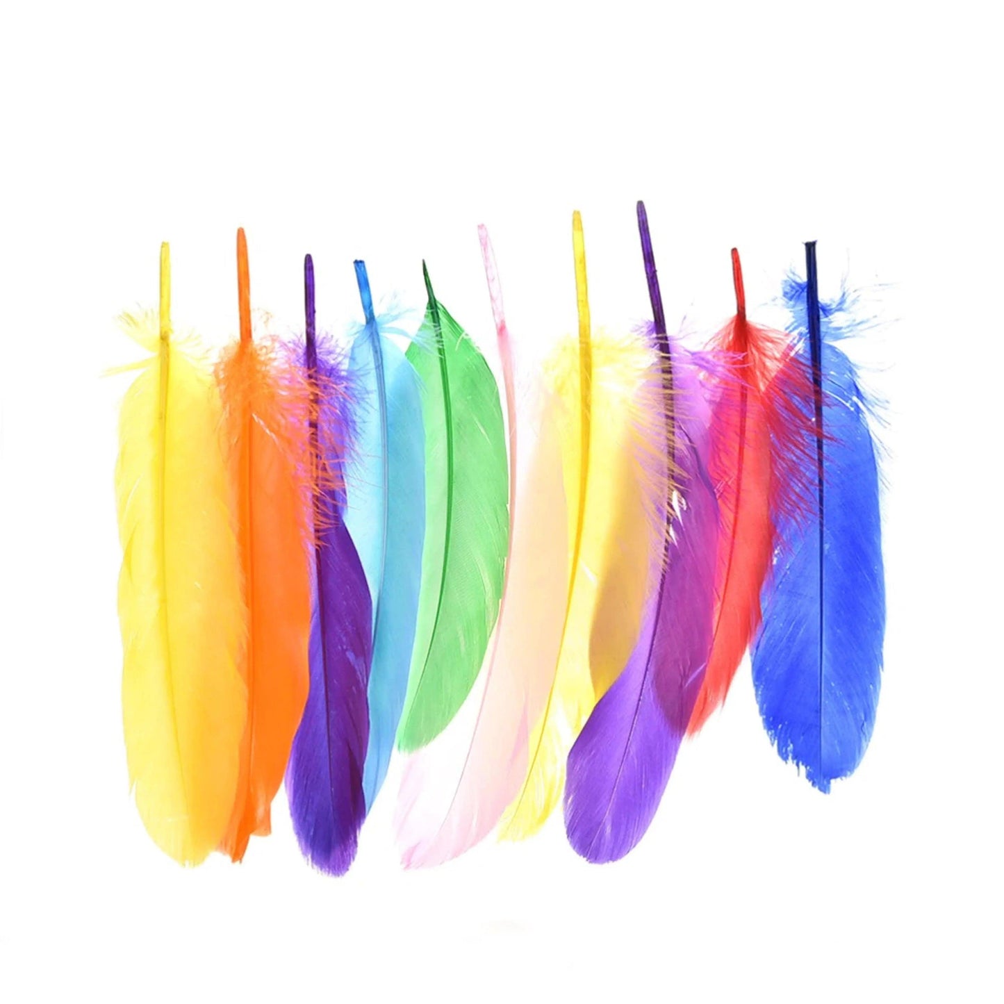 Colored Feather The Stationers