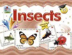 Flash Cards Insects The Stationers