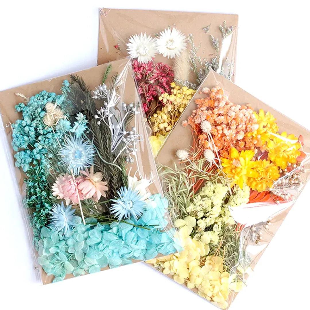 Natural Dried Flower Material Pack The Stationers