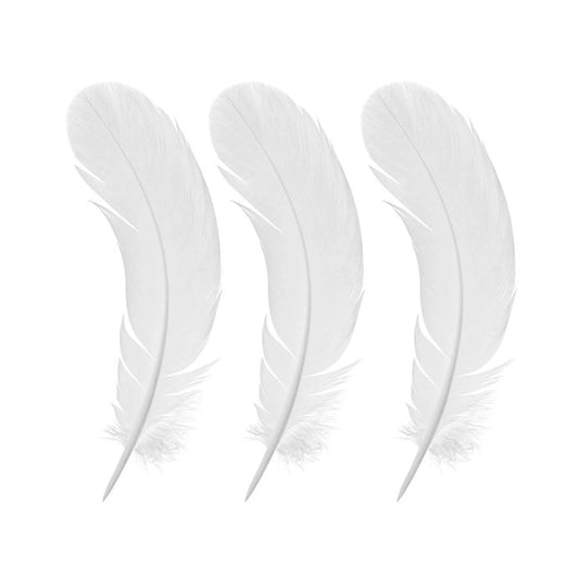 White Feather The Stationers