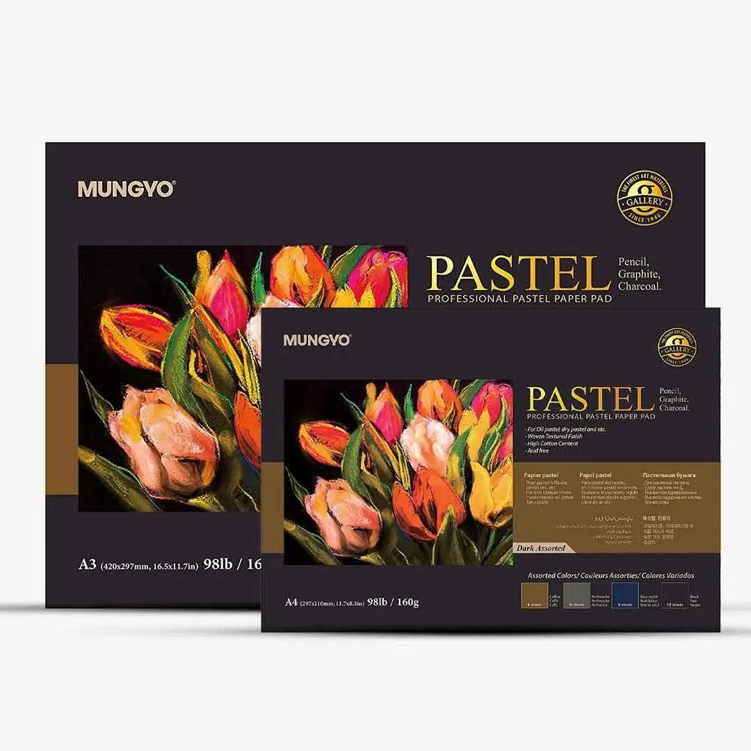 Mungyo Professional Pastel Paper Pad Dark Assorted The Stationers