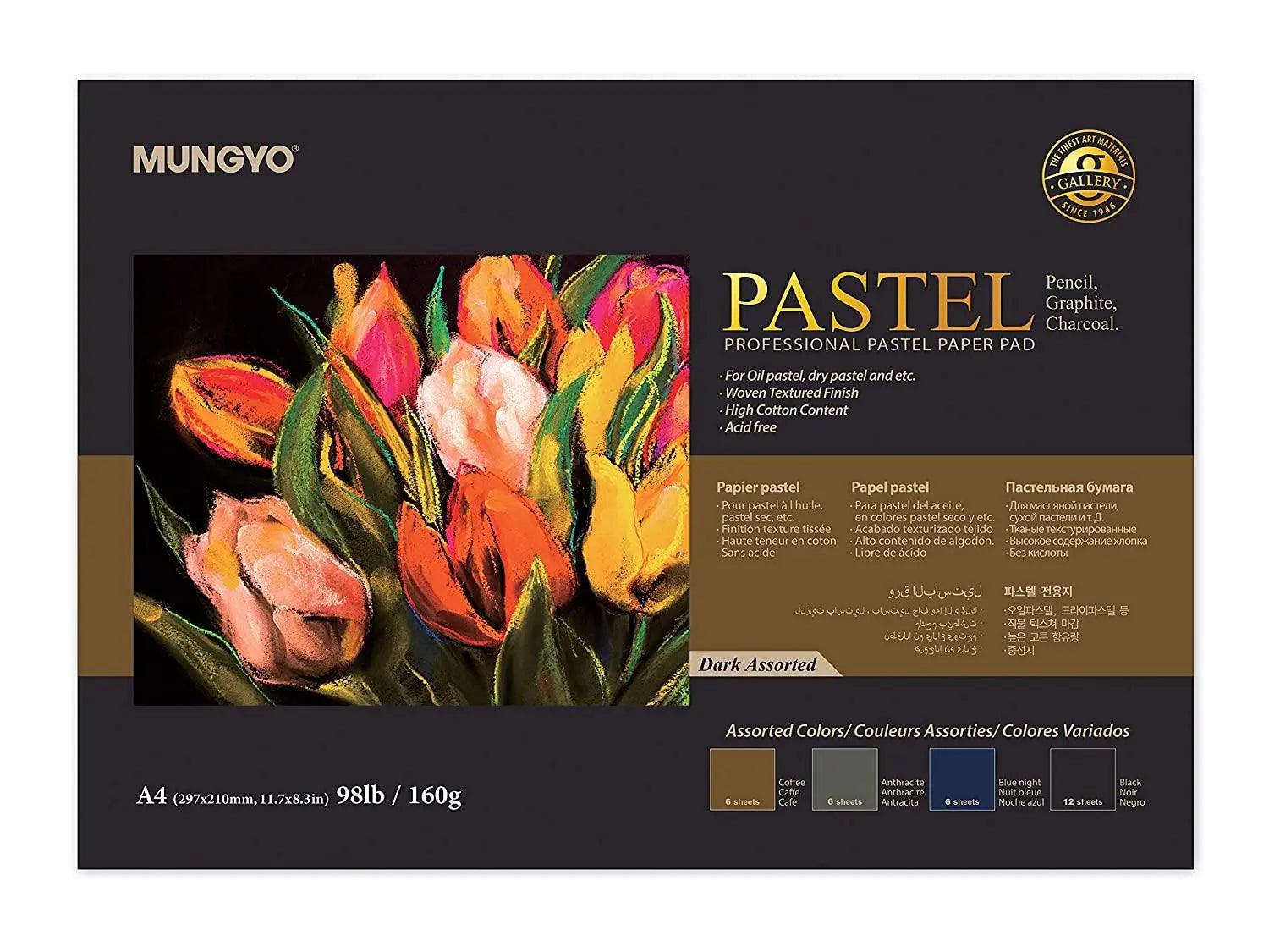 Mungyo Professional Pastel Paper Pad Dark Assorted The Stationers