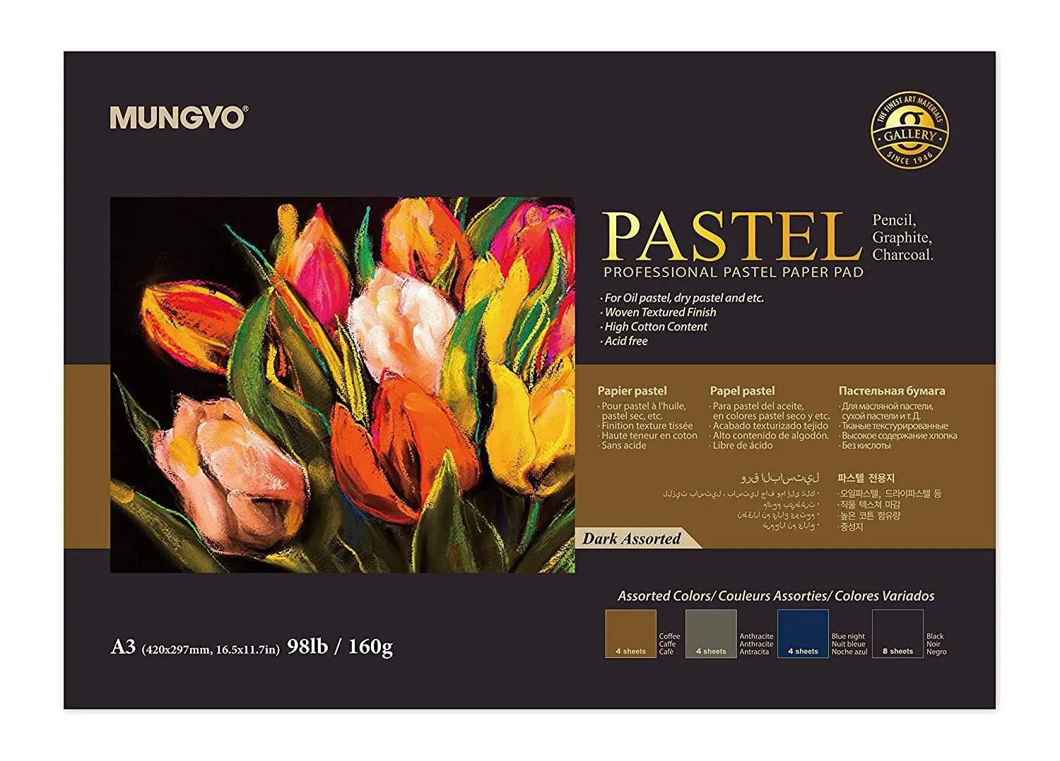 Mungyo Professional Pastel Paper Pad Dark Assorted The Stationers