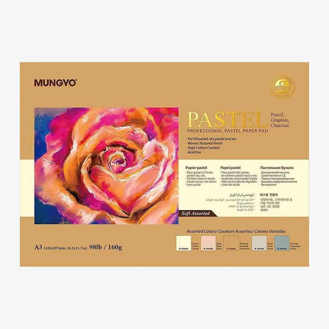 Mungyo Professional Pastel Paper Pad Soft Assorted The Stationers
