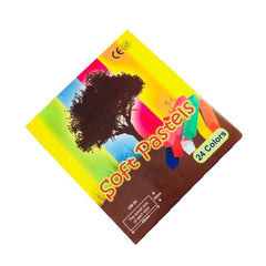 The Color Company Soft Pastels for Artist 24 Pieces Color Set - Multi Colors  CM 24 The Stationers
